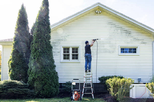 Professional Pressure Washing Services in Wayne City, IL